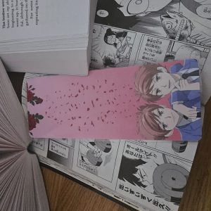 Ouran High School Host Club - Hikaru & Kaoru