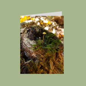 Forest moss tree stump mushrooms card