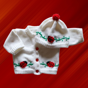 Ladybug Baby Sweater, Handmade Knitted Baby Sweater, Personalized Baby Sweater