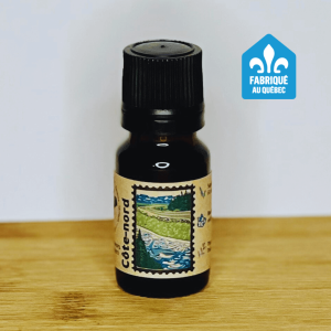 Cote-Nord - Synergy of resinous trees and small fruits