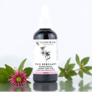 Wild Bergamot Herbal Tincture