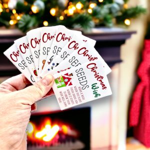 Seed Packets for Christmas - Whimsical Wish Seeds - 10pk