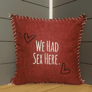 We Had Sex Here. Pillow Cover.