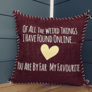 Of All The Weird Things I Have Found Online... You Are By Far My Favourite. Pillow Cover.