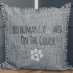 No Humans Allowed On The Couch. Pillow Cover.