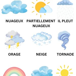 Weather Patterns Learning Poster - French