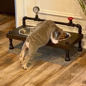 Steampunk style unique raised dog bowl feeder