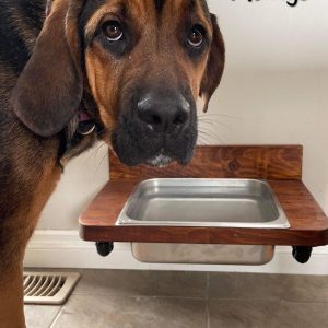 Floating water bin - wall mount water basin feeder - floating dog basin - large feeding bin-floating food bin