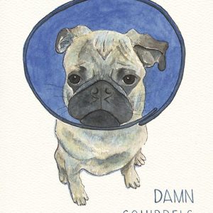 Damn Squirrels Card