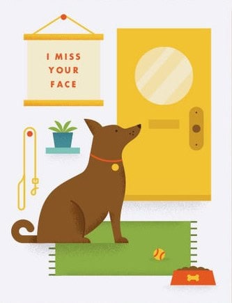 Miss your face