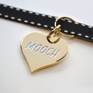 Gold Plated Mooch Pet Tag