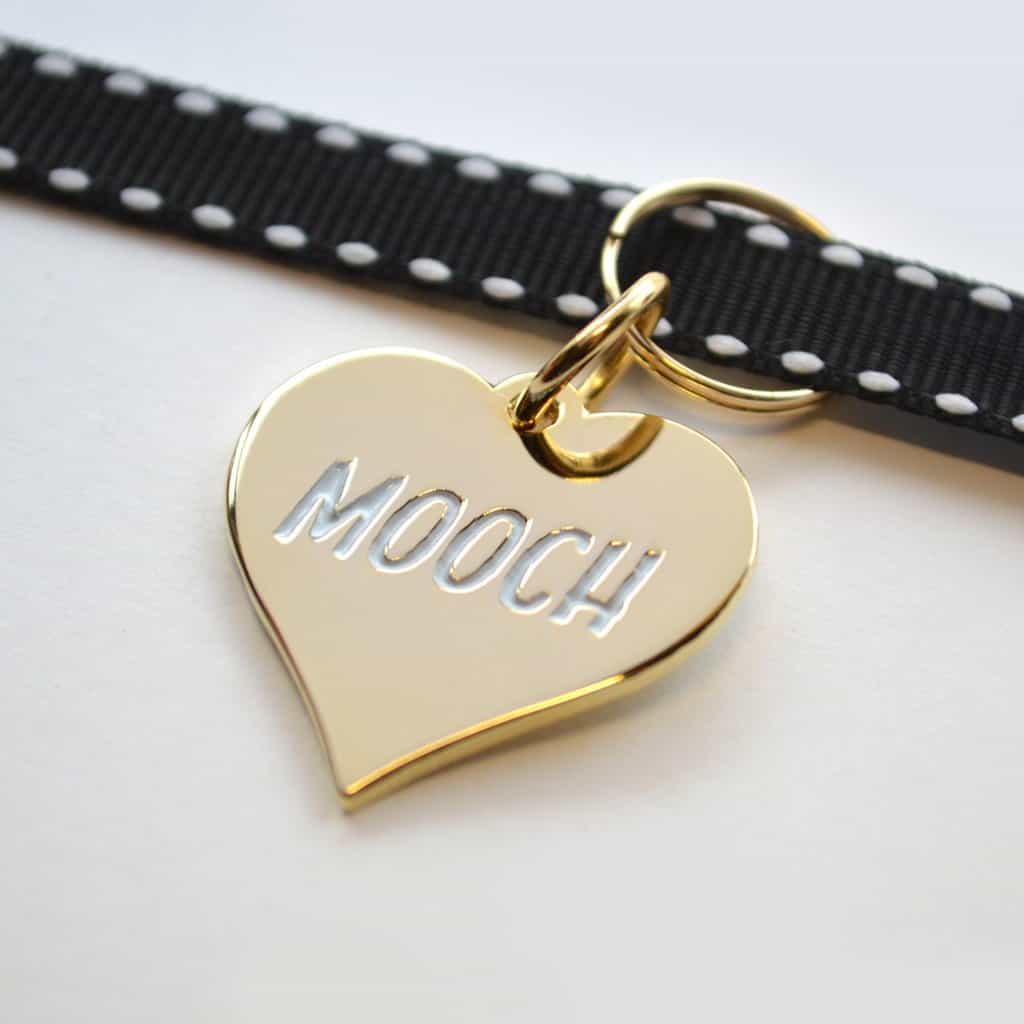 Mooch