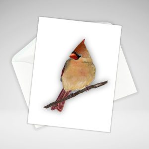 a greeting card of a female cardinal perched on a branch facing left.